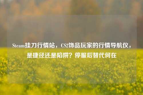 Steam挂刀行情站，CS2饰品玩家的行情导航仪，是捷径还是陷阱？停服后替代何在
