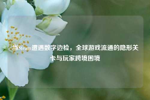 当Steam遭遇数字边检,全球游戏流通的隐形关卡与玩家跨境困境
