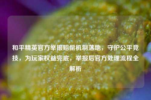 和平精英官方举报赔偿机制落地,守护公平竞技,为玩家权益兜底,举报后官方处理流程全解析