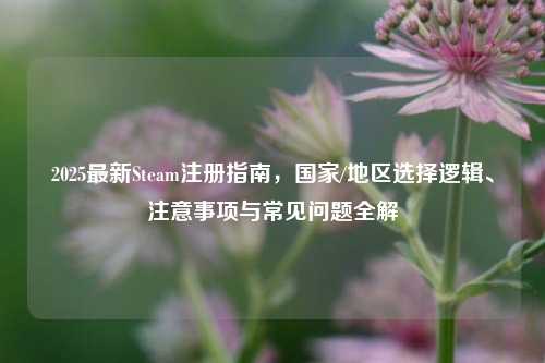 2025最新Steam注册指南,国家/地区选择逻辑、注意事项与常见问题全解