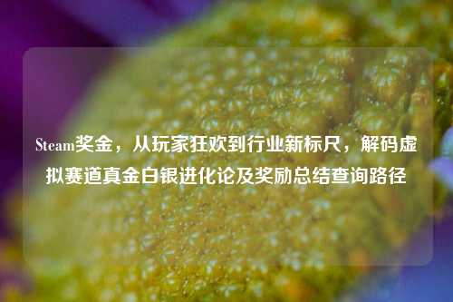 Steam奖金，从玩家狂欢到行业新标尺，解码虚拟赛道真金白银进化论及奖励总结查询路径