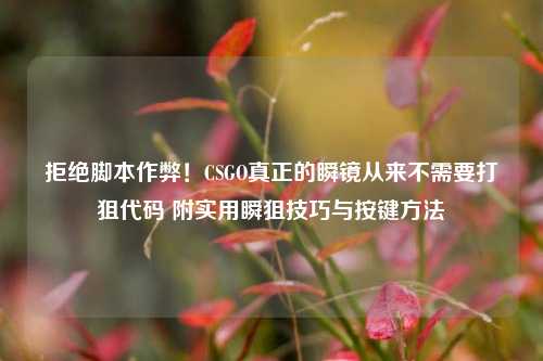 拒绝脚本作弊！CSGO真正的瞬镜从来不需要打狙代码 附实用瞬狙技巧与按键方法