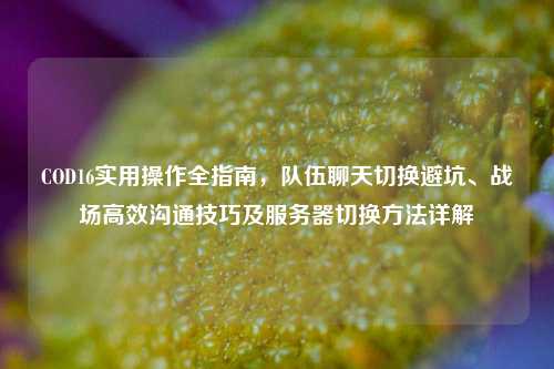 COD16实用操作全指南，队伍聊天切换避坑、战场高效沟通技巧及服务器切换方法详解