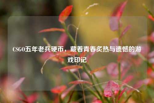 CSGO五年老兵硬币,藏着青春炙热与遗憾的游戏印记