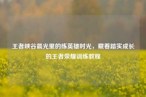 王者峡谷晨光里的练英雄时光,藏着踏实成长的王者荣耀训练教程