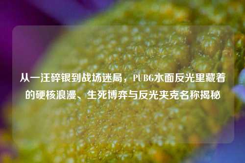 从一汪碎银到战场迷局,PUBG水面反光里藏着的硬核浪漫、生死博弈与反光夹克名称揭秘