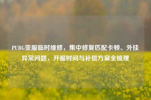 PUBG亚服临时维修,集中修复匹配卡顿、外挂异常问题,开服时间与补偿方案全梳理