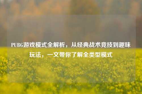 PUBG游戏模式全解析，从经典战术竞技到趣味玩法，一文带你了解全类型模式