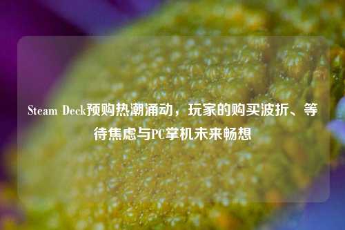 Steam Deck预购热潮涌动,玩家的购买波折、等待焦虑与PC掌机未来畅想