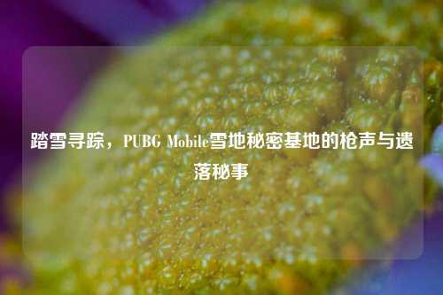 踏雪寻踪，PUBG Mobile雪地秘密基地的枪声与遗落秘事