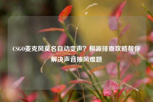 CSGO麦克风莫名自动变声？根源排查攻略帮你解决声音抽风难题