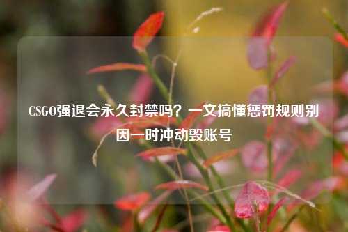 CSGO强退会永久封禁吗?一文搞懂惩罚规则别因一时冲动毁账号