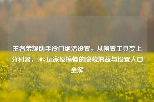 王者荣耀助手冷门绝活设置,从闲置工具变上分利器,90%玩家没搞懂的隐藏增益与设置入口全解