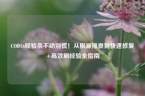 COD16经验条不动别慌！从根源排查到快速修复+高效刷经验全指南