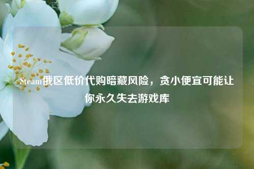 Steam俄区低价代购暗藏风险,贪小便宜可能让你永久失去游戏库