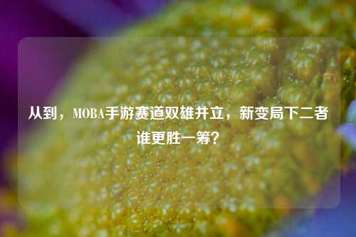 从到，MOBA手游赛道双雄并立，新变局下二者谁更胜一筹？