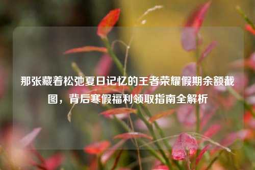 那张藏着松弛夏日记忆的王者荣耀假期余额截图，背后寒假福利领取指南全解析