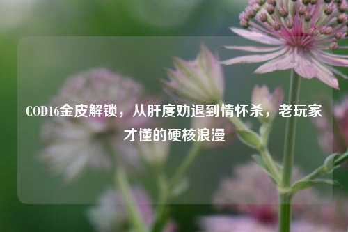 COD16金皮解锁,从肝度劝退到情怀杀,老玩家才懂的硬核浪漫