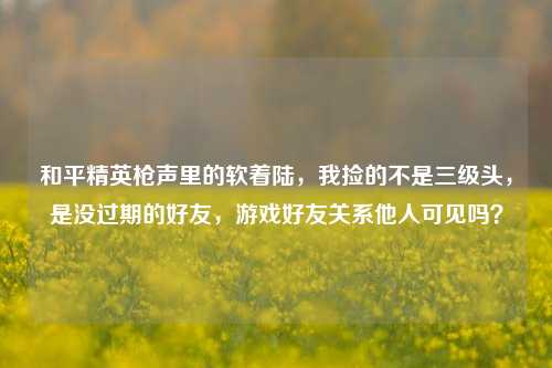 和平精英枪声里的软着陆,我捡的不是三级头,是没过期的好友,游戏好友关系他人可见吗?