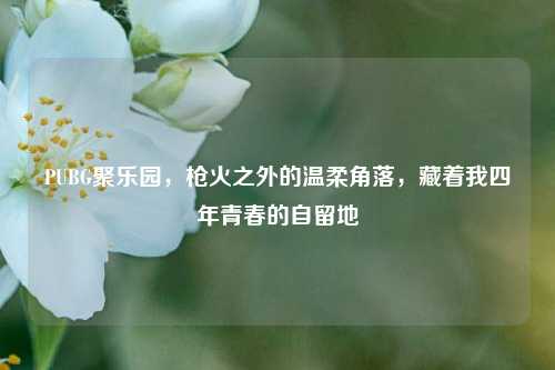 PUBG聚乐园，枪火之外的温柔角落，藏着我四年青春的自留地
