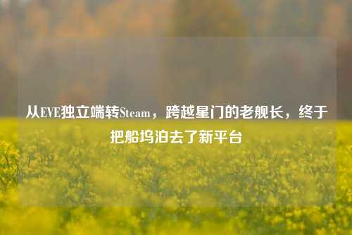 从EVE独立端转Steam，跨越星门的老舰长，终于把船坞泊去了新平台