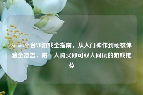 Steam平台VR游戏全指南，从入门神作到硬核体验全覆盖，附一人购买即可双人同玩的游戏推荐