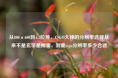 从800×600到4:3拉伸,CSGO大神的分辨率选择从来不是玄学是刚需,到底csgo分辨率多少合适