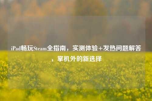 iPad畅玩Steam全指南,实测体验+发热问题解答,掌机外的新选择