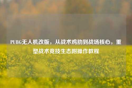 PUBG无人机改版,从战术鸡肋到战场核心,重塑战术竞技生态附操作教程