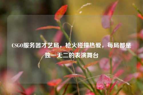 CSGO服务器才艺局,枪火碰撞热爱,每局都是独一无二的表演舞台