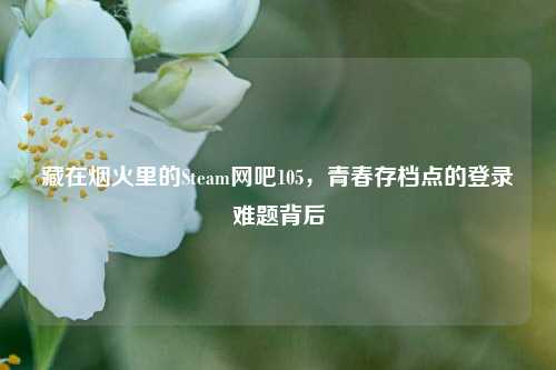 藏在烟火里的Steam网吧105,青春存档点的登录难题背后