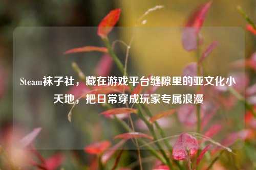 Steam袜子社,藏在游戏平台缝隙里的亚文化小天地,把日常穿成玩家专属浪漫
