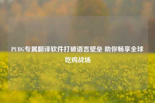 PUBG专属翻译软件打破语言壁垒 助你畅享全球吃鸡战场