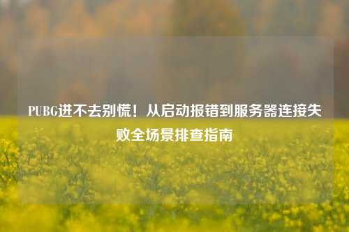 PUBG进不去别慌！从启动报错到服务器连接失败全场景排查指南