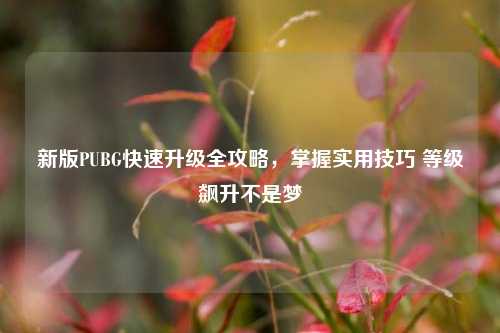 新版PUBG快速升级全攻略，掌握实用技巧 等级飙升不是梦
