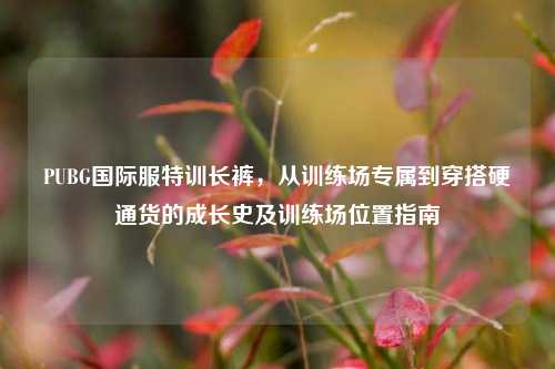 PUBG国际服特训长裤,从训练场专属到穿搭硬通货的成长史及训练场位置指南