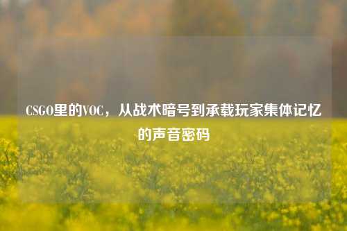 CSGO里的VOC,从战术暗号到承载玩家集体记忆的声音密码