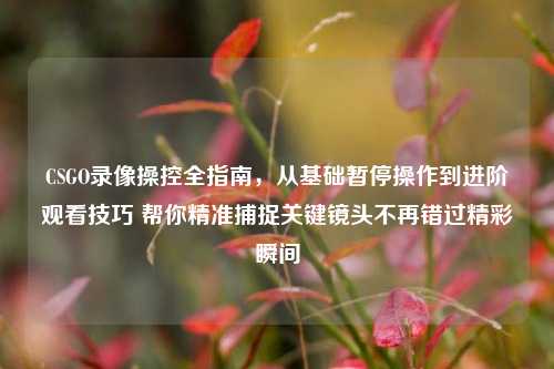 CSGO录像操控全指南，从基础暂停操作到进阶观看技巧 帮你精准捕捉关键镜头不再错过精彩瞬间