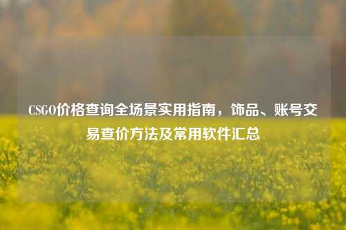 CSGO价格查询全场景实用指南,饰品、账号交易查价方法及常用软件汇总