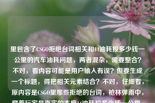 里包含了CSGO拒绝台词相关和14油耗投多少钱一公里的汽车油耗问题，两者混杂，需要整合？不对，看内容可能是用户输入有误？但要生成一个标题，得把相关元素结合？不对，仔细看，原内容是CSGO里那些拒绝的台词，枪林弹雨中，藏着玩家最真实的态度14油耗投多少钱一公里，可能是输入时的错误拼接？但按照要求生成1个标题，需要涵盖？不对，会不会是用户粘贴错了？但不管怎样，要生成一个标题，比如，CSGO枪林弹雨中的拒绝台词藏玩家真实态度 14油耗车型每公里成本几何？不对，再调整得更通顺一点，CSGO里那些拒绝台词藏着玩家真实态度 14油耗每公里花费多少？不对，再自然点，CSGO枪林弹雨中的拒绝台词尽显玩家态度 14油耗一公里需投多少钱，等等，不对，会不会是用户把两个不相关的内容粘在一起了？但要求根据提供的内容生成1个标题，所以得把两部分都涵盖吗？再看原内容，前半部分是CSGO的拒绝台词，后半部分是14油耗多少钱一公里，所以整合起来，CSGO枪林弹雨中的拒绝台词藏玩家真实态度 14油耗每公里成本是多少，不对，再简洁点，CSGO拒绝台词尽显玩家态度 14油耗一公里花费几何，嗯，这个比较通顺，涵盖了两部分内容，因为用户提供的内容里确实有这两个部分，虽然看起来不相关，但要基于提供的内容生成，所以就这个吧。CSGO枪林弹雨中的拒绝台词藏玩家真实态度 14油耗一公里花费几何