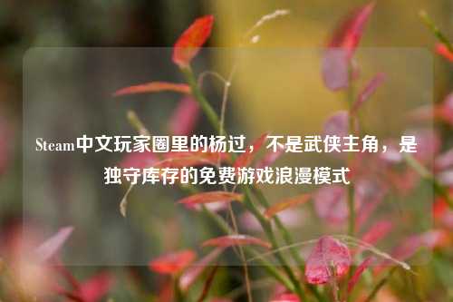 Steam中文玩家圈里的杨过,不是武侠主角,是独守库存的免费游戏浪漫模式
