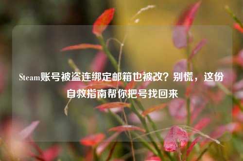 Steam账号被盗连绑定邮箱也被改？别慌，这份自救指南帮你把号找回来