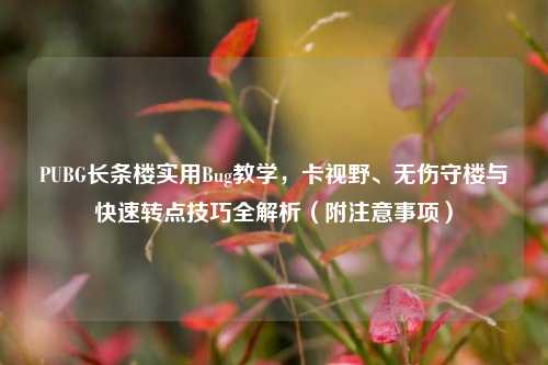 PUBG长条楼实用Bug教学，卡视野、无伤守楼与快速转点技巧全解析（附注意事项）