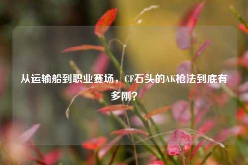 从运输船到职业赛场，CF石头的AK枪法到底有多刚？