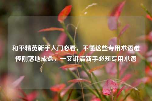 和平精英新手入门必看，不懂这些专用术语难怪刚落地成盒，一文讲清新手必知专用术语