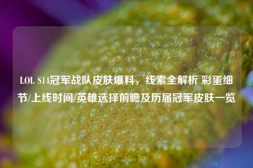 LOL S14冠军战队皮肤爆料，线索全解析 彩蛋细节/上线时间/英雄选择前瞻及历届冠军皮肤一览