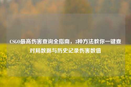 CSGO最高伤害查询全指南，3种方法教你一键查对局数据与历史记录伤害数值