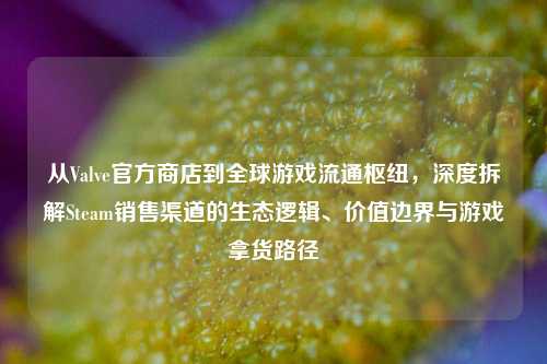 从Valve官方商店到全球游戏流通枢纽,深度拆解Steam销售渠道的生态逻辑、价值边界与游戏拿货路径
