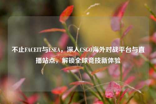不止FACEIT与ESEA，深入CSGO海外对战平台与直播站点，解锁全球竞技新体验