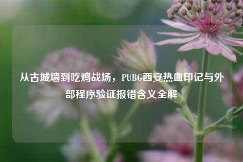 从古城墙到吃鸡战场，PUBG西安热血印记与外部程序验证报错含义全解
